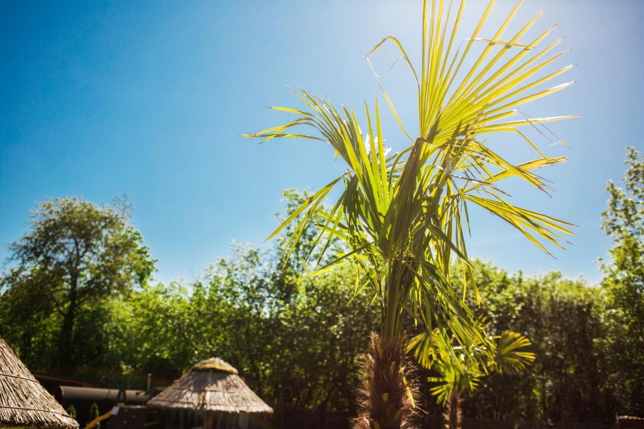 Aloha Glamp - Okragle Domki Przy Rzece - Balia I Sauna - Energylandia Zagornik Exteriör bild